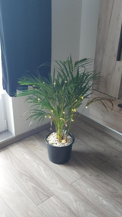 Apartament Antonias Făgăraş Zewnętrze zdjęcie
