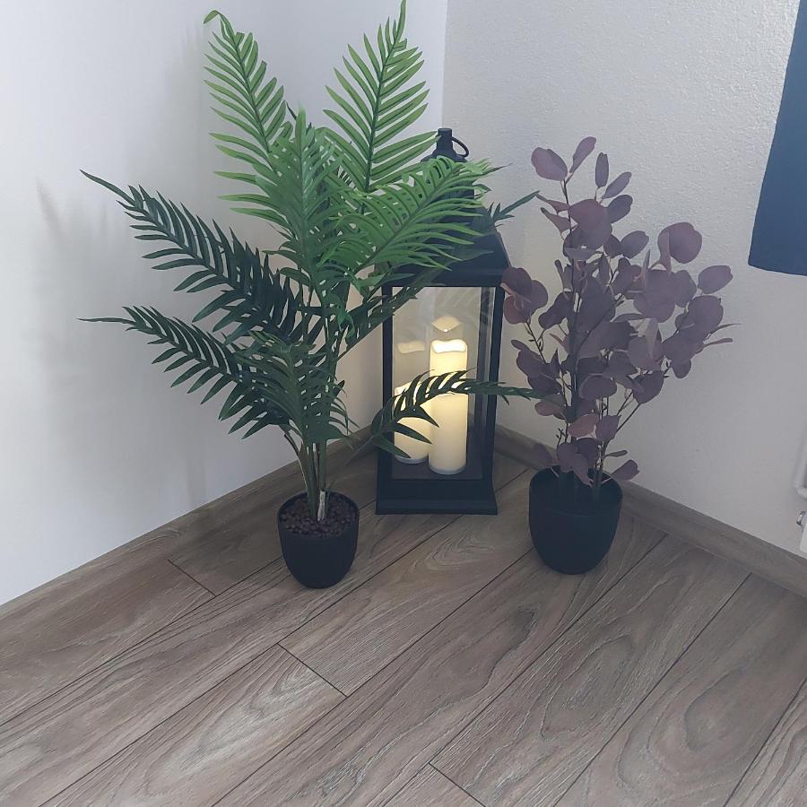 Apartament Antonias Făgăraş Zewnętrze zdjęcie